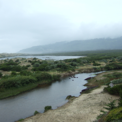 사이유슬로 국유림(Suislaw National Forest), 시내